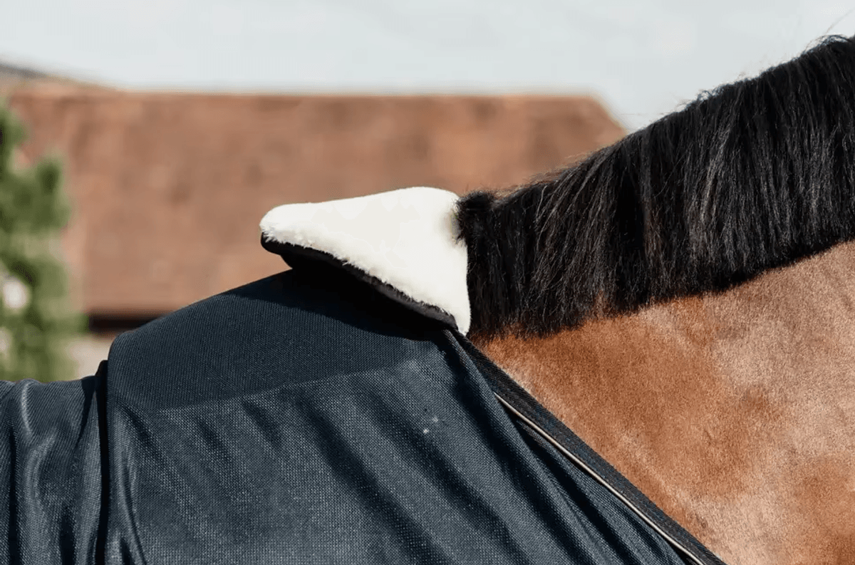 Kentucky Horse BIB Wither Protection black