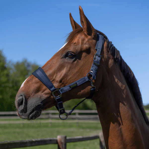Hovedbilde KLLucca Halter and Rope Navy