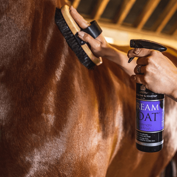 Hovedbilde Carr & Day & Martin Dreamcoat, 500ml