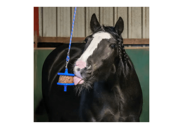 Hovedbilde Likit Refill GranoLo - 400g - Eple