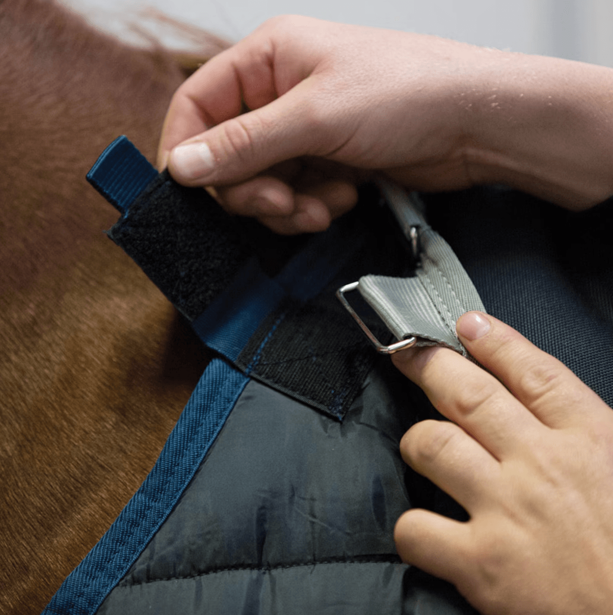 Horseware liner 300g