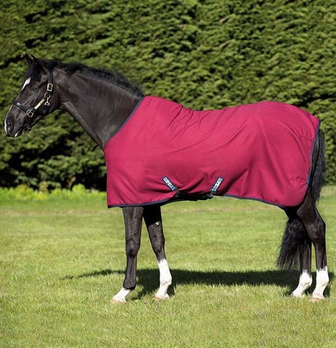 Horseware Rambo Techni Waffle Cooler