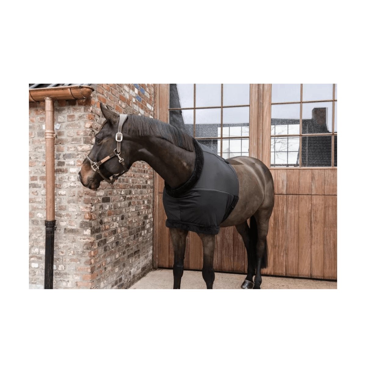 Kentucky Chest Protection