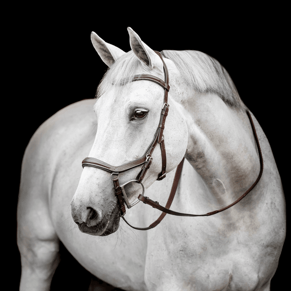 Hovedbilde Horseware Micklem deluxe Competition 