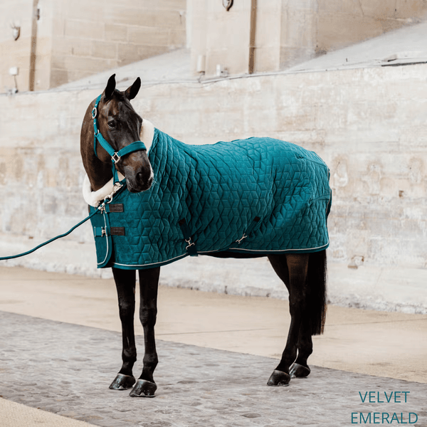Hovedbilde Kentucky Show Rug Velvet