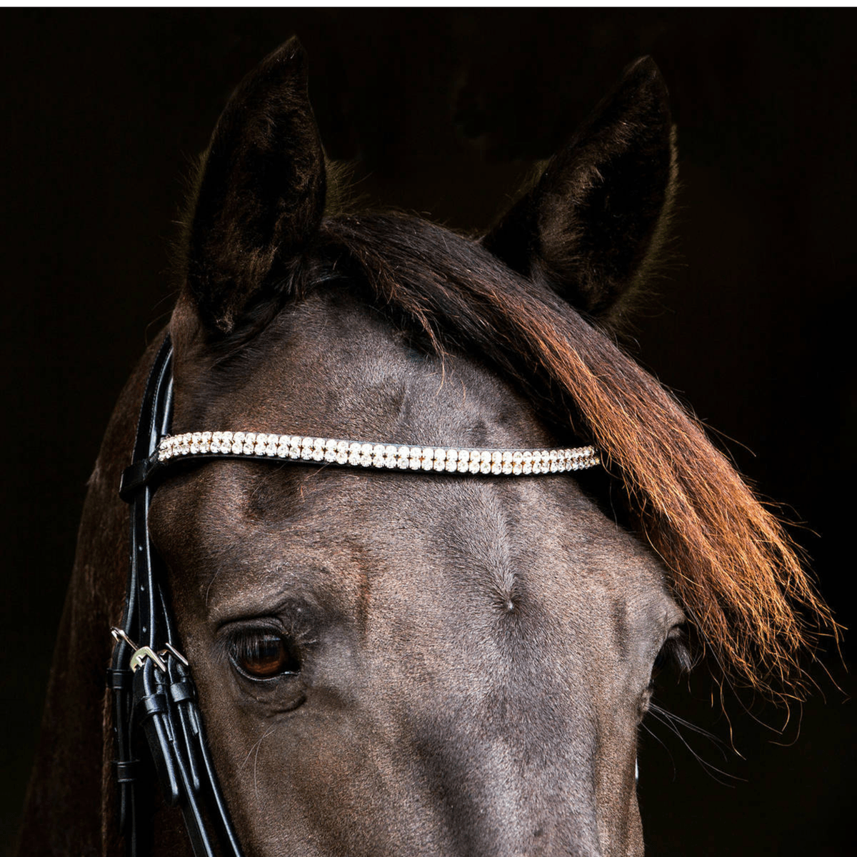 Horze Rohan Snaffle Bridle