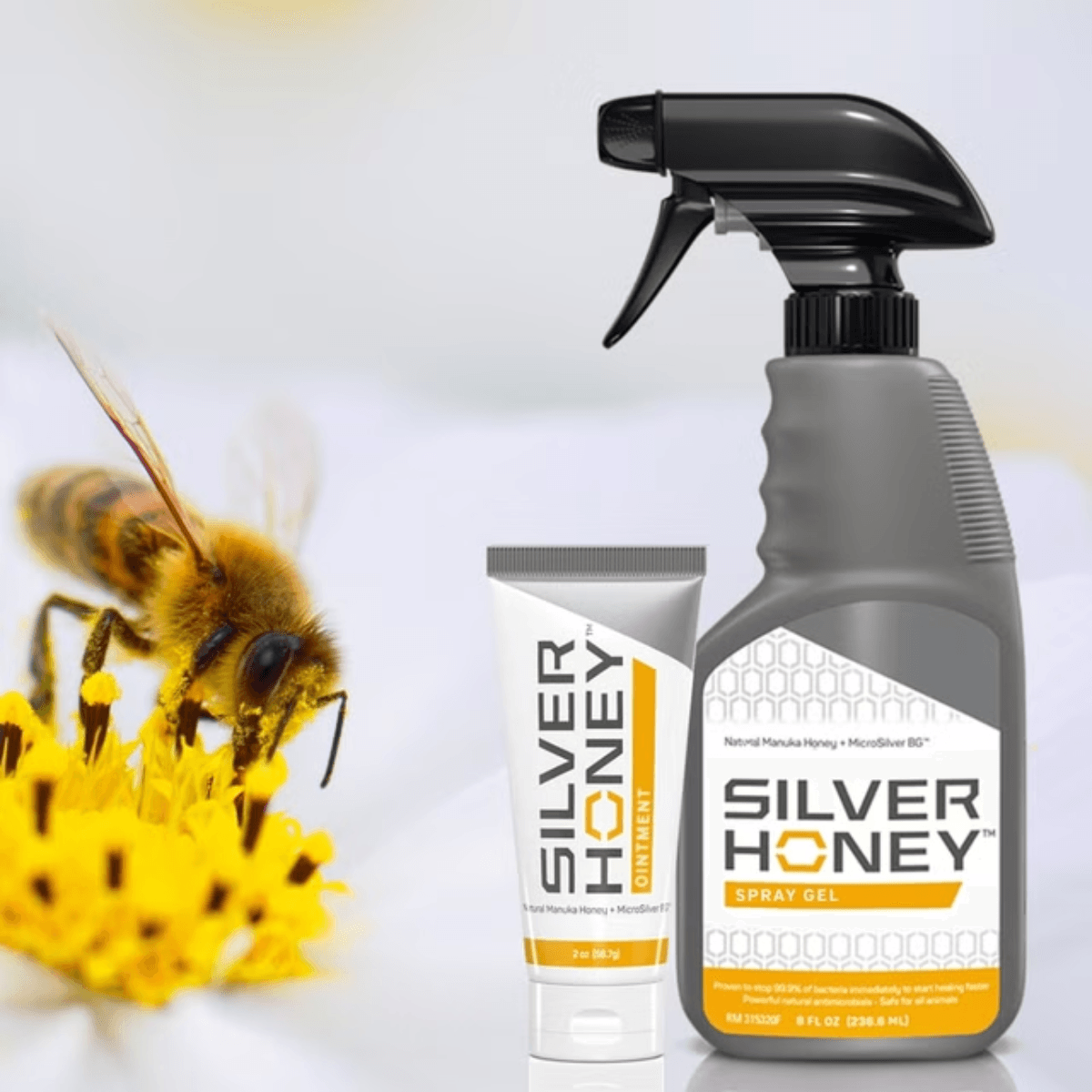 Silver Honey Absorbine Salve