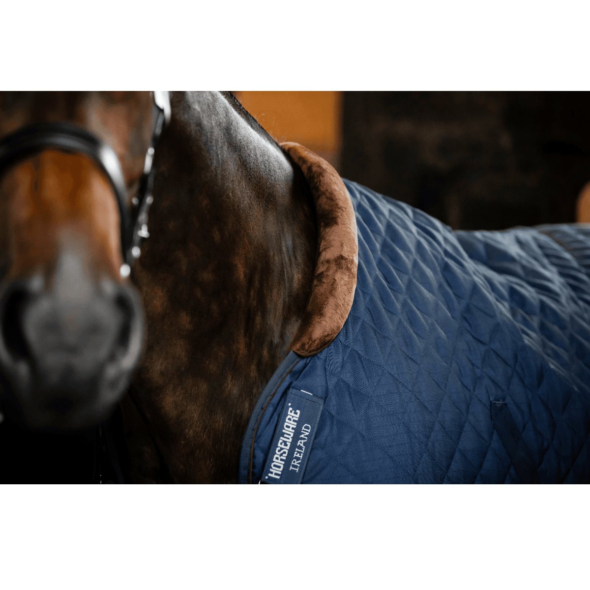 Horseware Signature Stable 200g