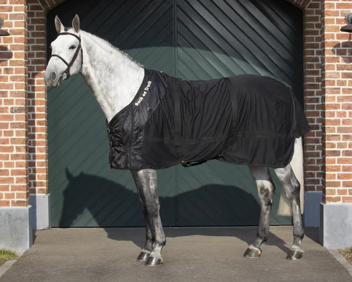 Back on Track Mesh Rug