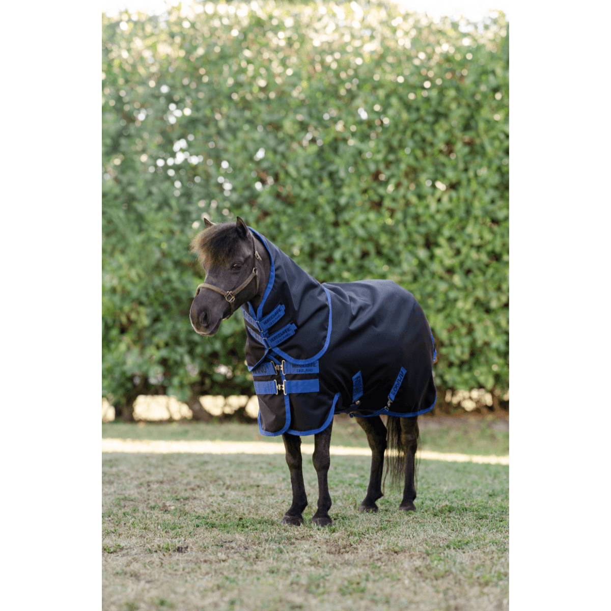Amigo Ripstop 900D Plus Petite Turnout 0g