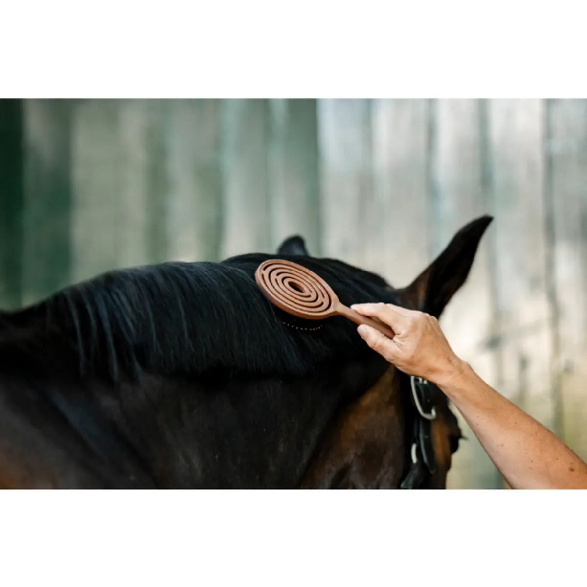 Horseware Signature Mane & Tail Brush