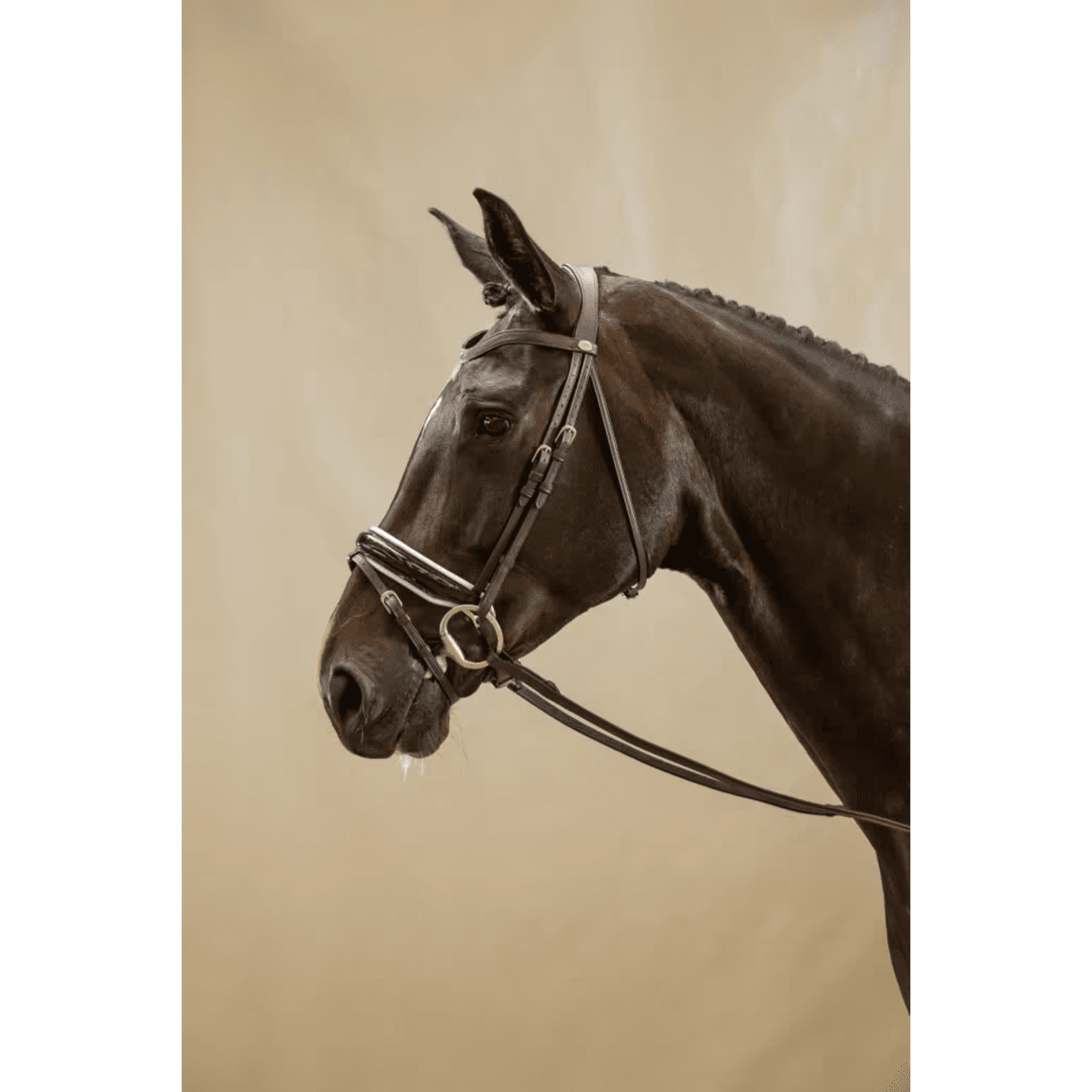 Dyon WO Large Crank Noseband Bridle w Flash Brown