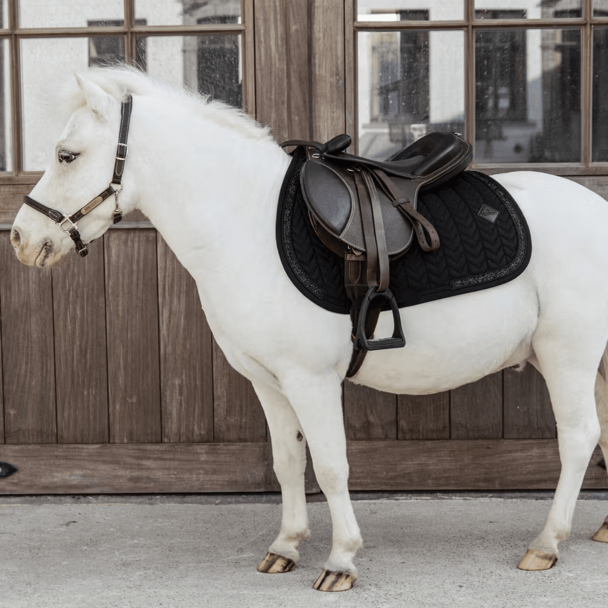 Kentucky Saddle Pad Glitter Stone Jumping Sort