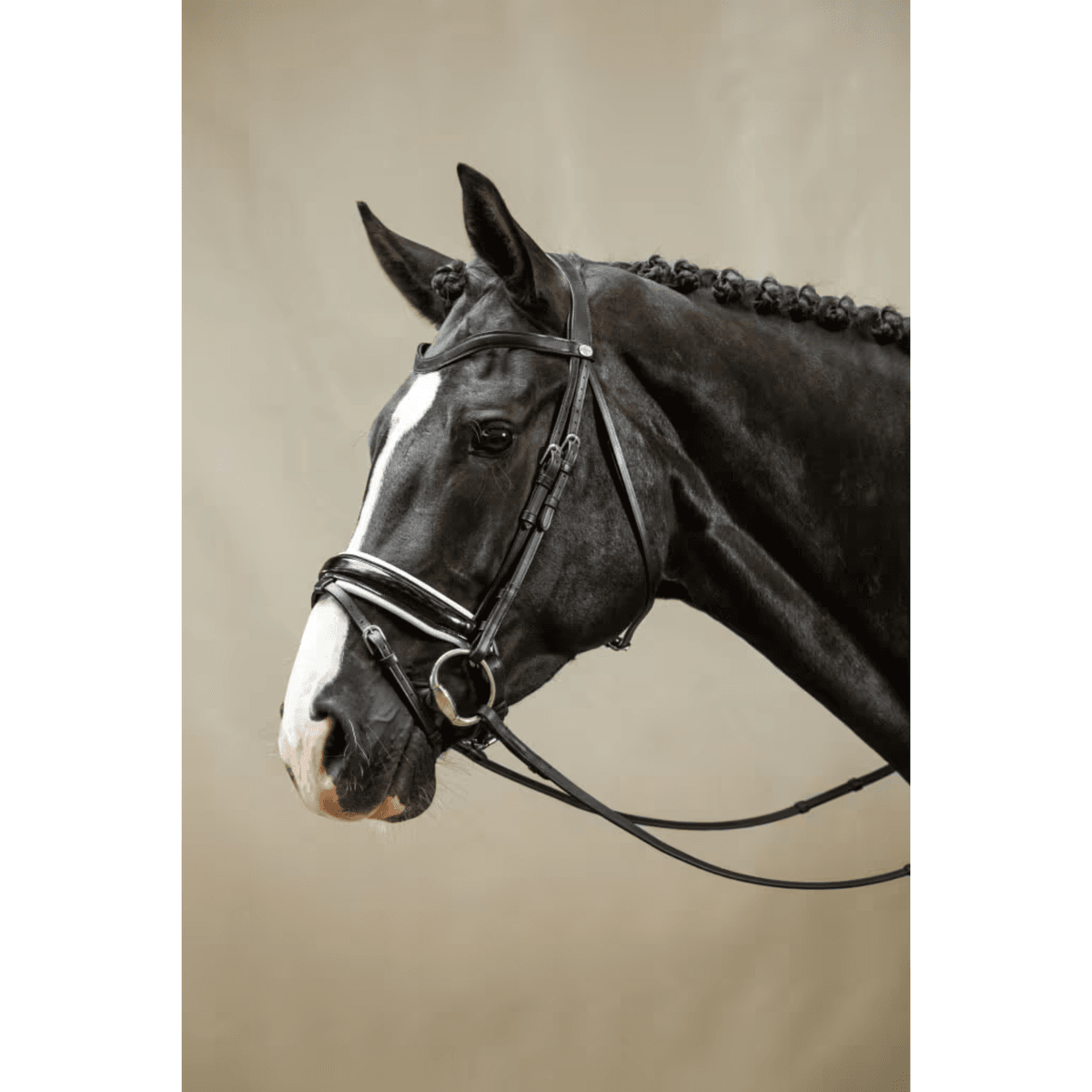 Dyon WO Large Crank Noseband Bridle w Flash Black