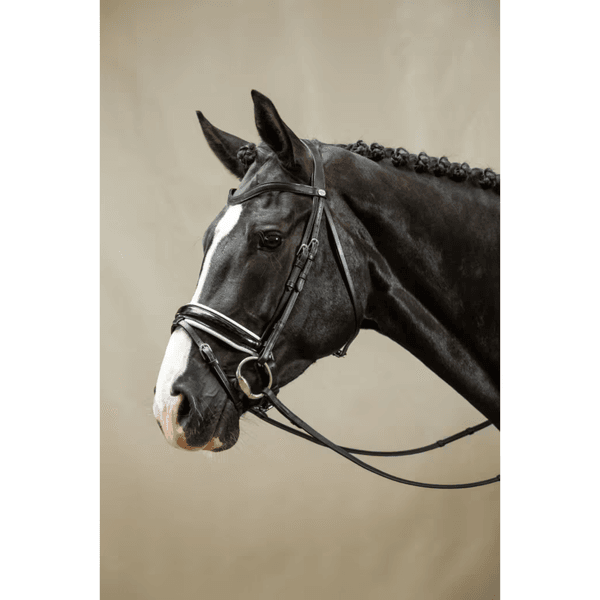 Hovedbilde Dyon WO Large Crank Noseband Bridle w Flash Black