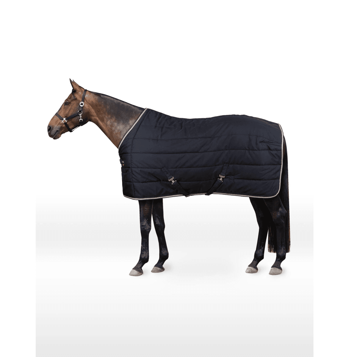 B Vertigo Corey Stable Rug, 250g