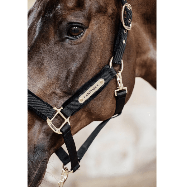 Hovedbilde Kentucky Velvet Halter