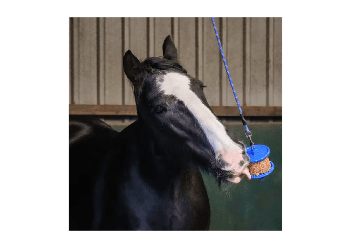 Likit Refill GranoLo - 400g - Eple