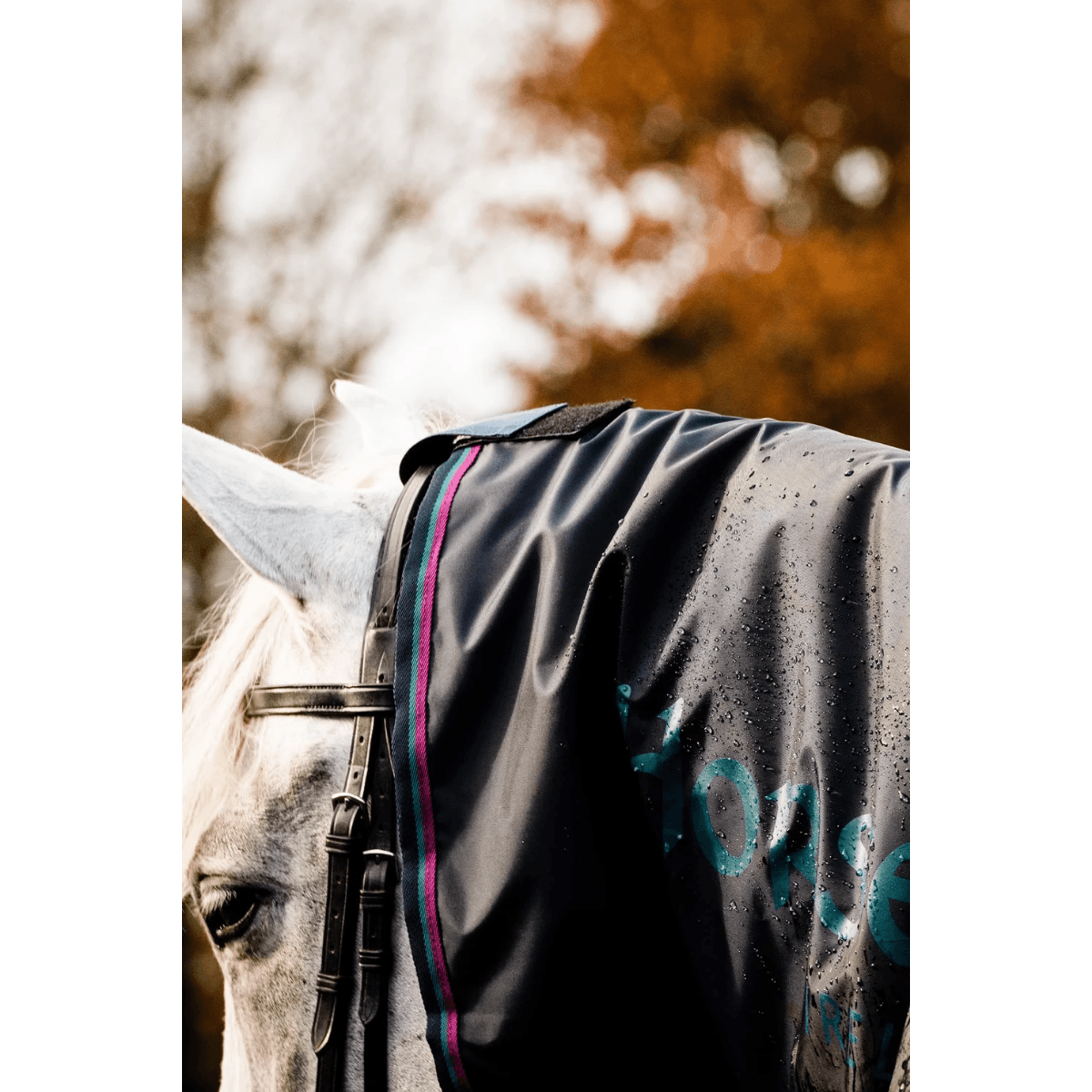Horseware Rambo Mack In A Sack
