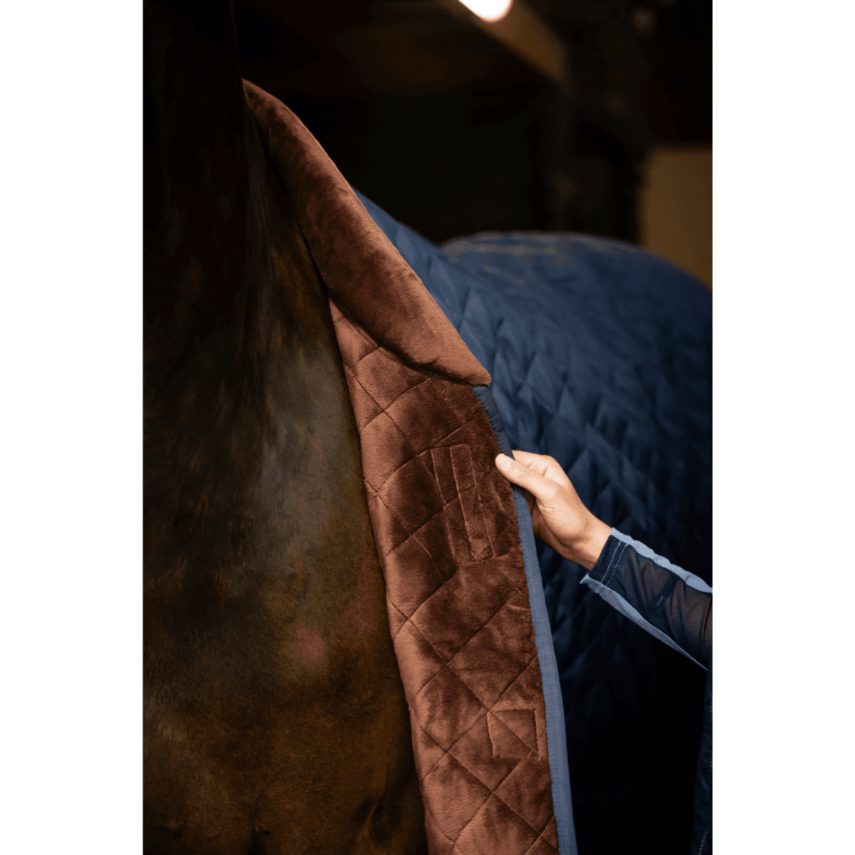 Horseware Signature Stable 200g