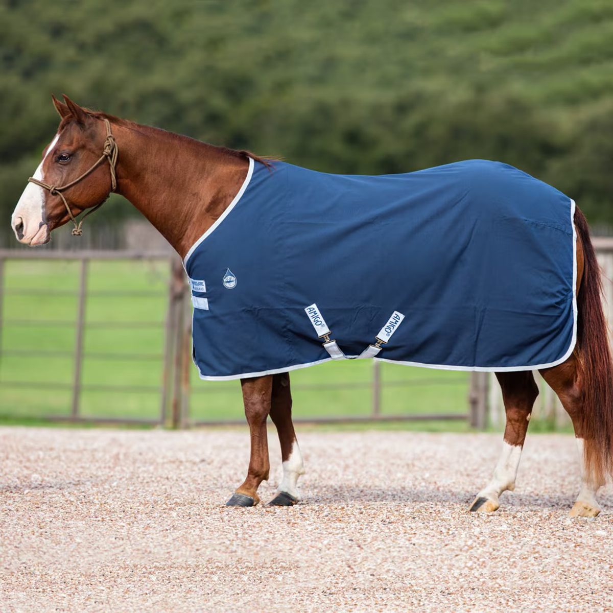 Horseware Amigo Stable Sheet, 0g