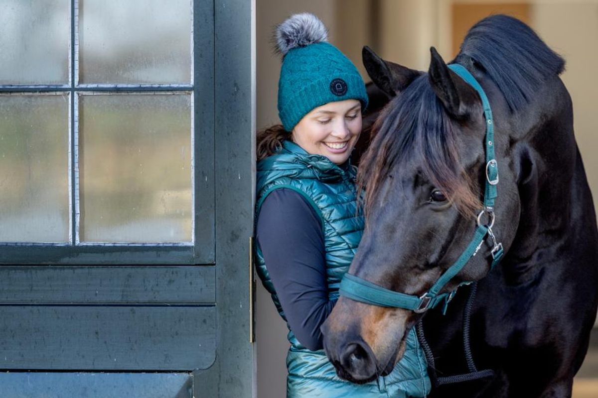 HorseGuard Diya grime 2.0 - Panderosa Pine