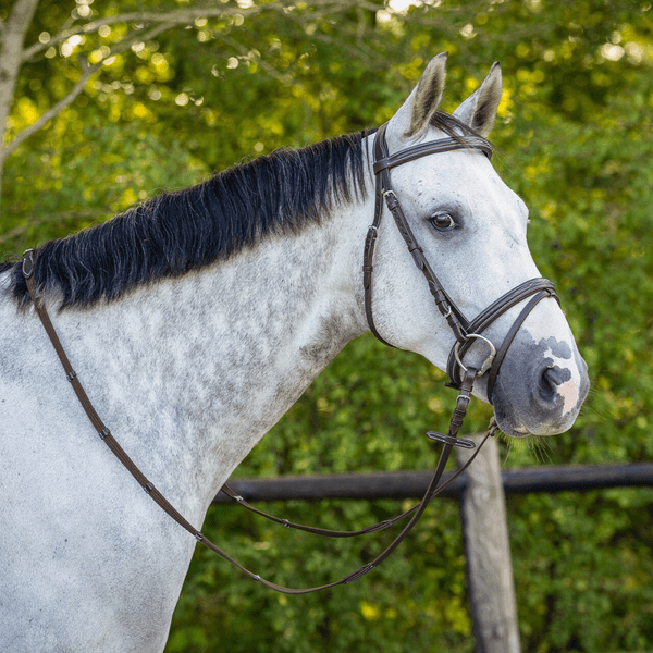 Hovedbilde QHP Bridle luxury stitched 