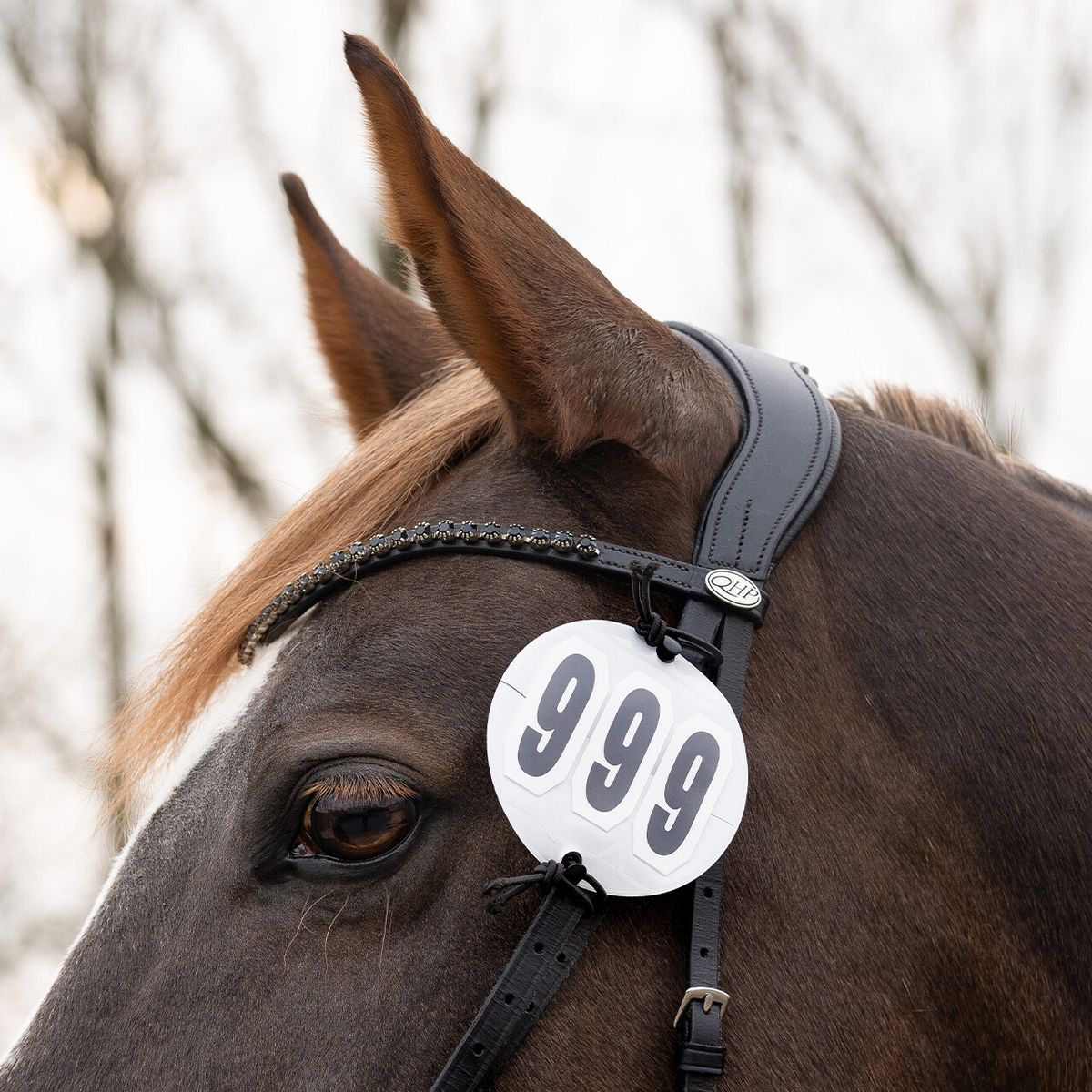 QHP Number holders Prim (2-pack) White