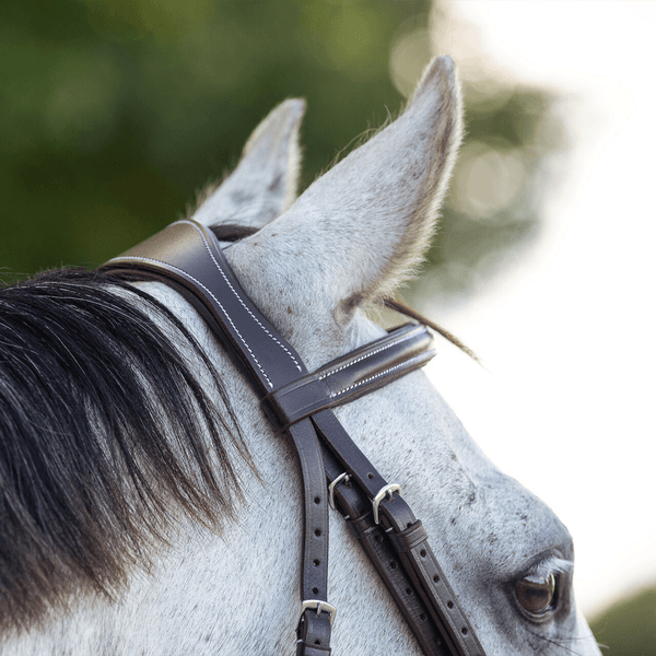 Hovedbilde QHP Bridle luxury stitched 