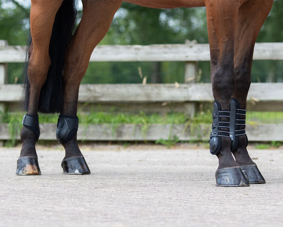 QHP Fetlock boots Champion black