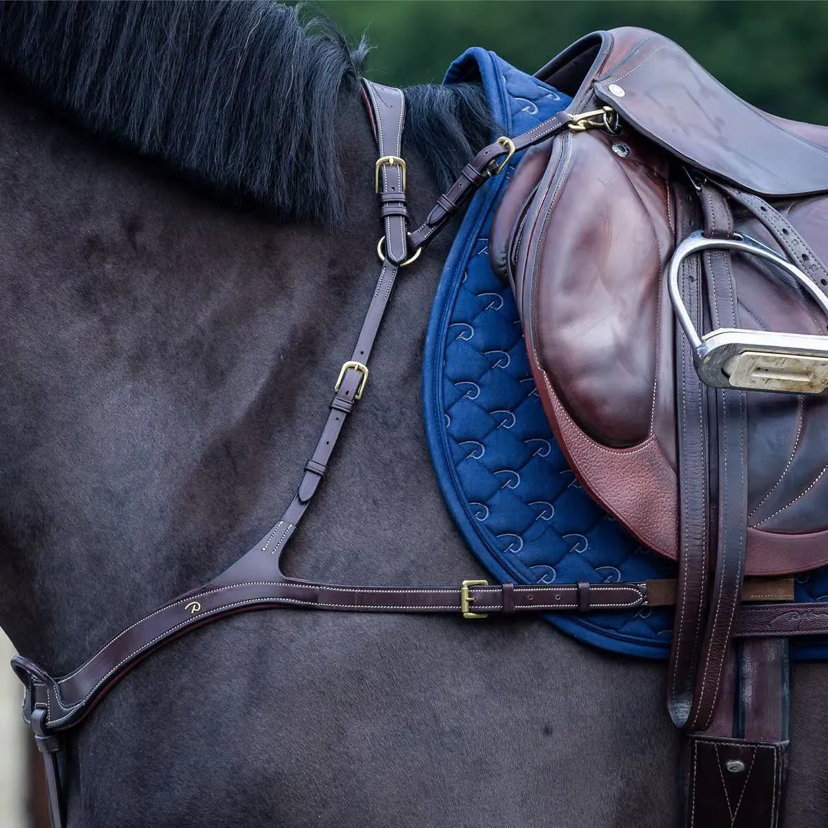 Dy'on D Collection Anatomical Breastplate
