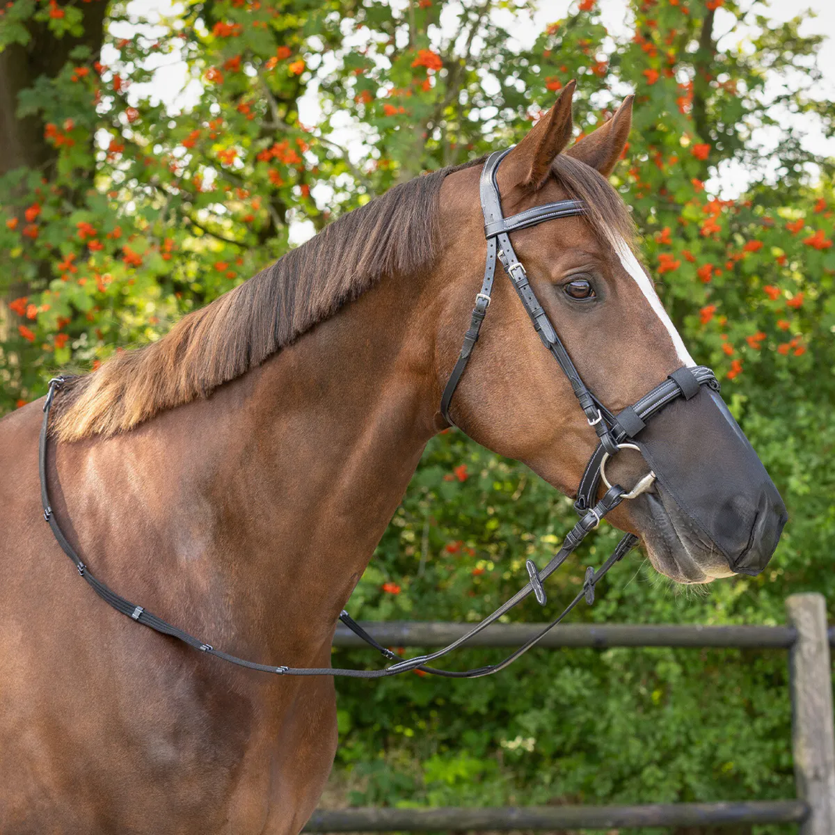 QHP Fly nose protection