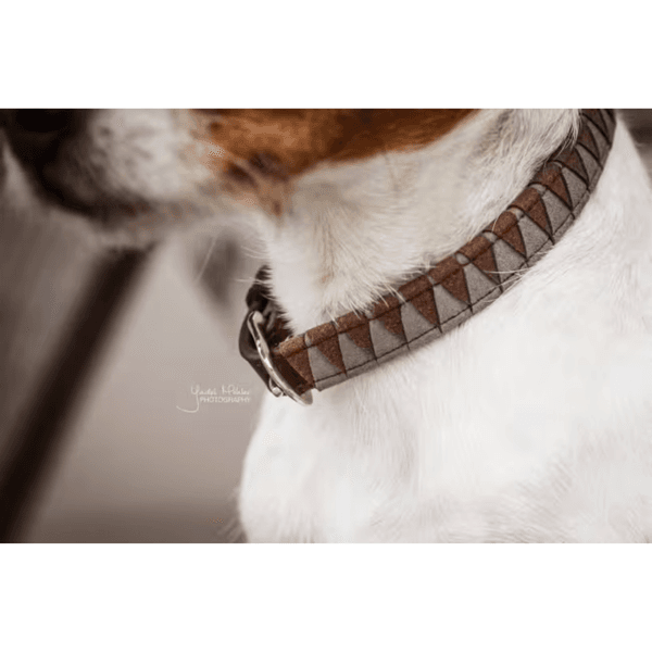 Hovedbilde Kentucky Dogwear Dog Collar Triangle